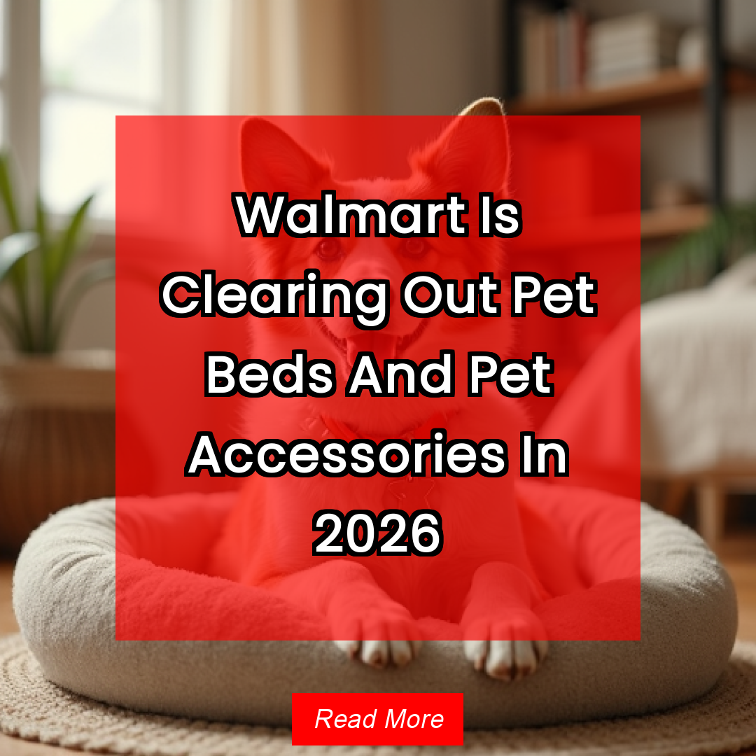 Trendy 365 Facebook ad: Walmart Is Clearing Out Pet Beds And Pet Accessories In…