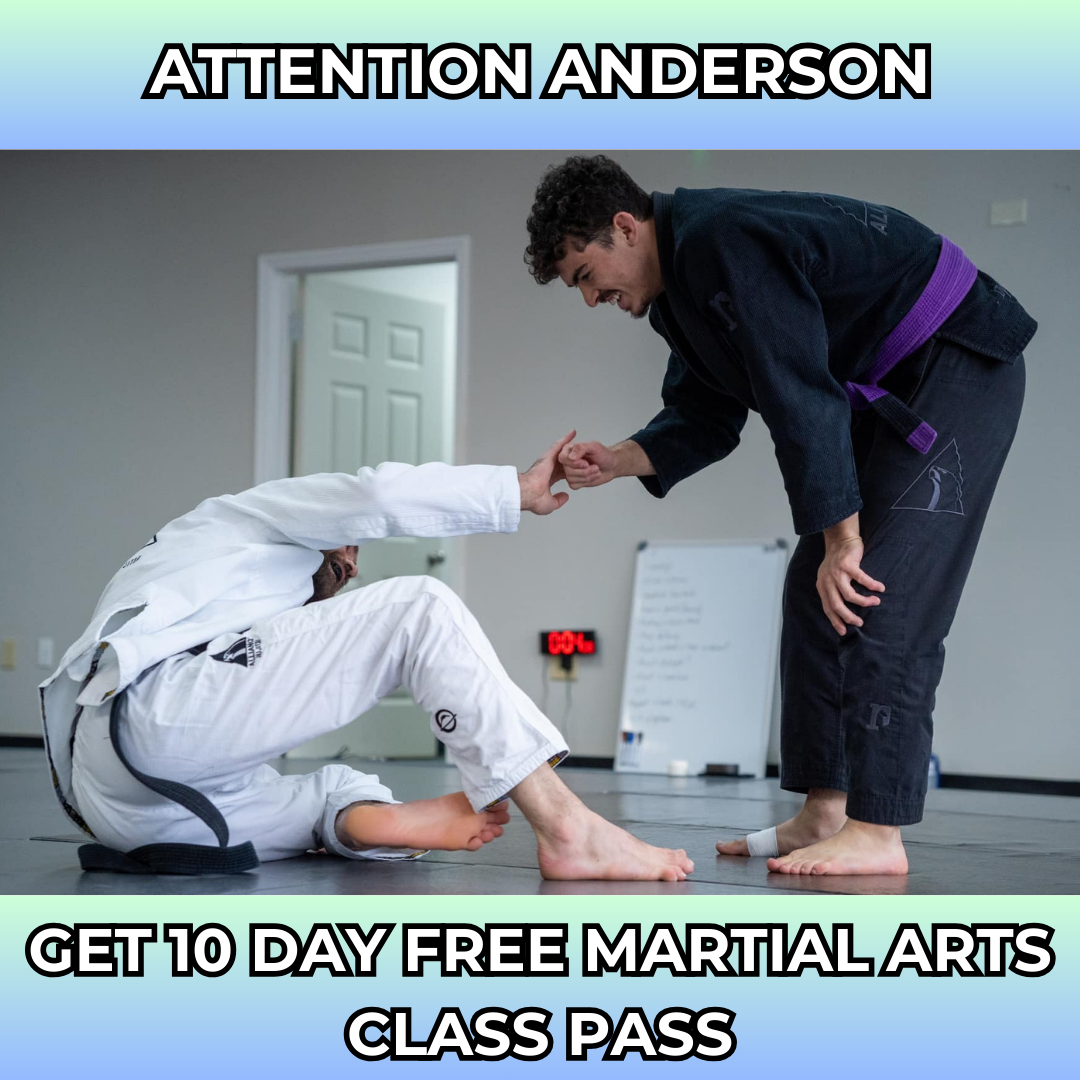 Alliance Anderson Facebook ad: Want a FREE 10-day, martial arts class pass?