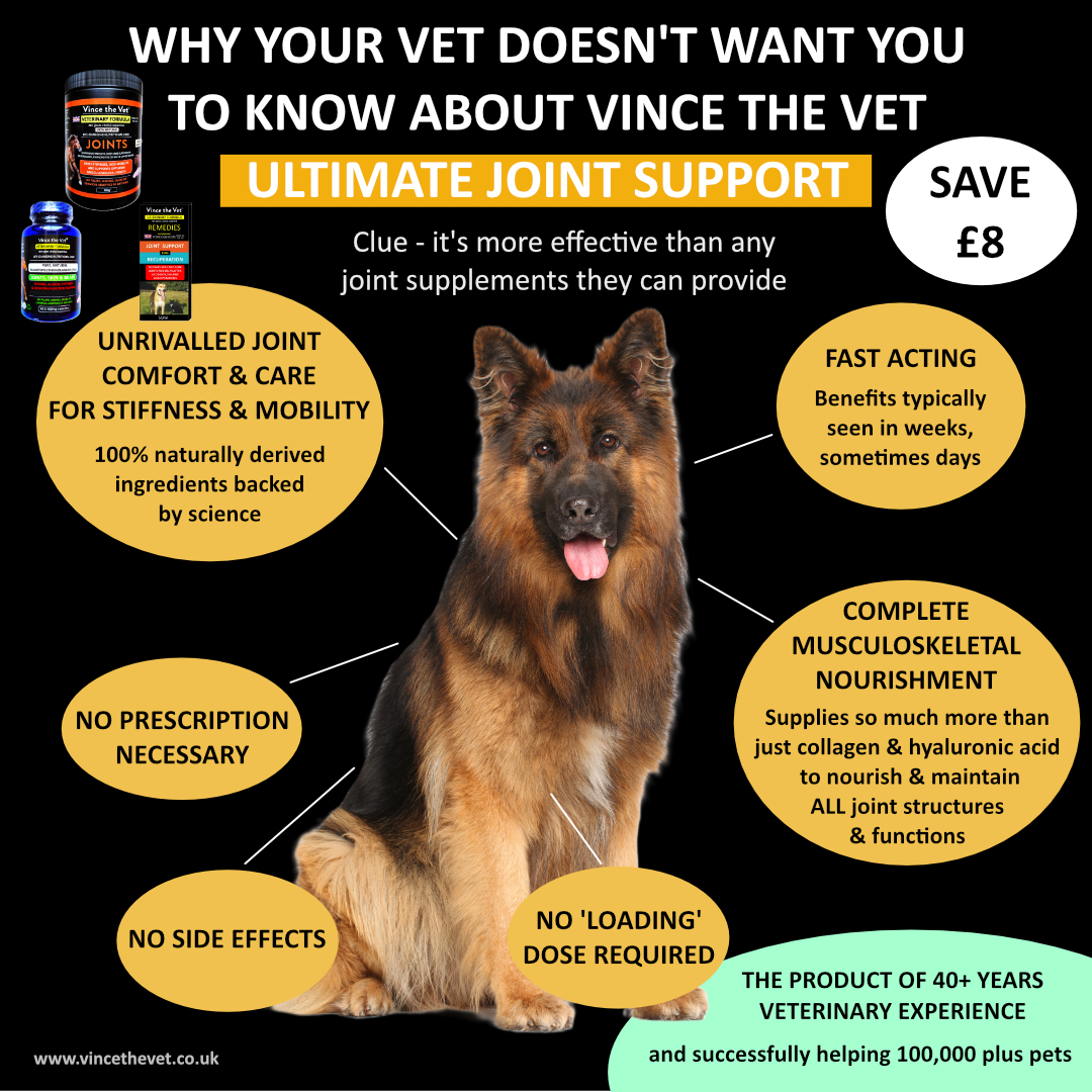 Vince The Vet Facebook ad: Ultimate Joint Support - Large