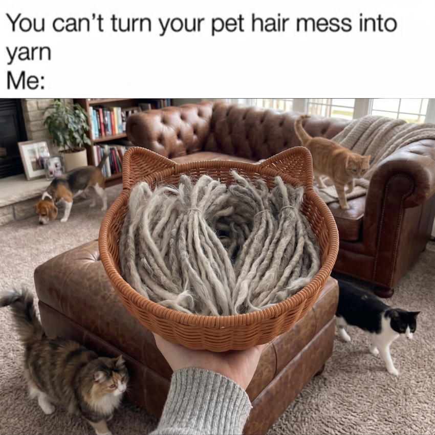 Ella's Pet Diary Facebook ad