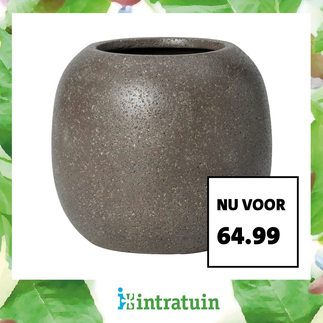 Intratuin Facebook ad