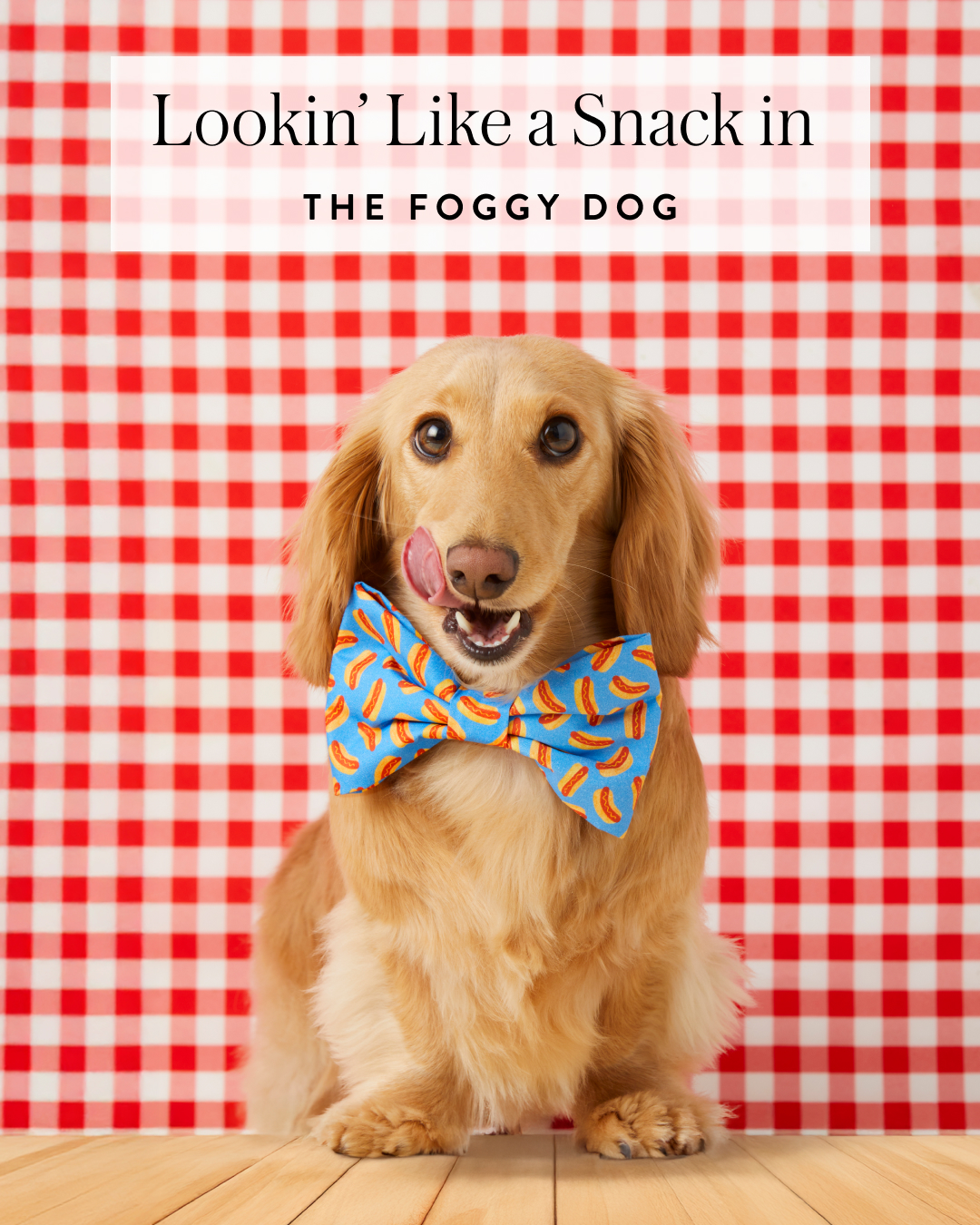The Foggy Dog Facebook ad