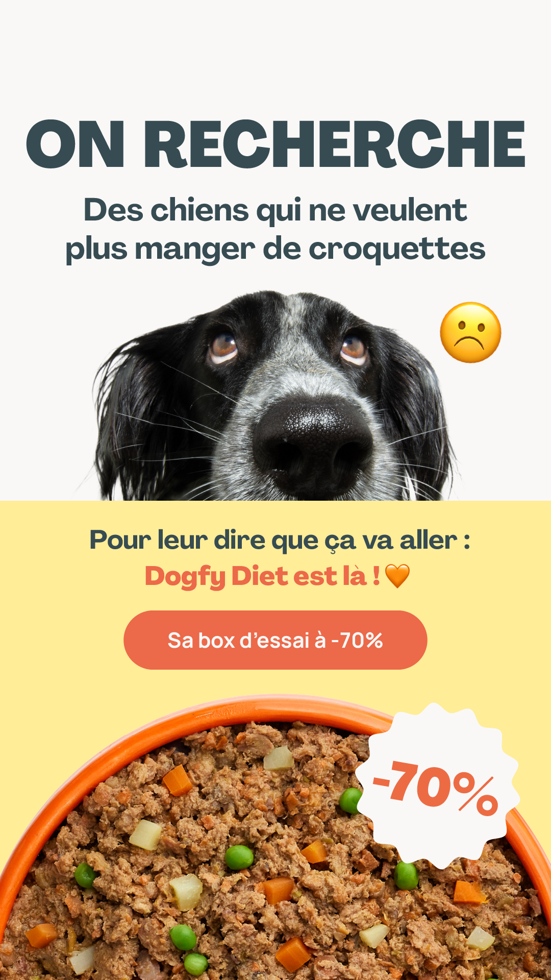 Dogfy Diet France Facebook ad