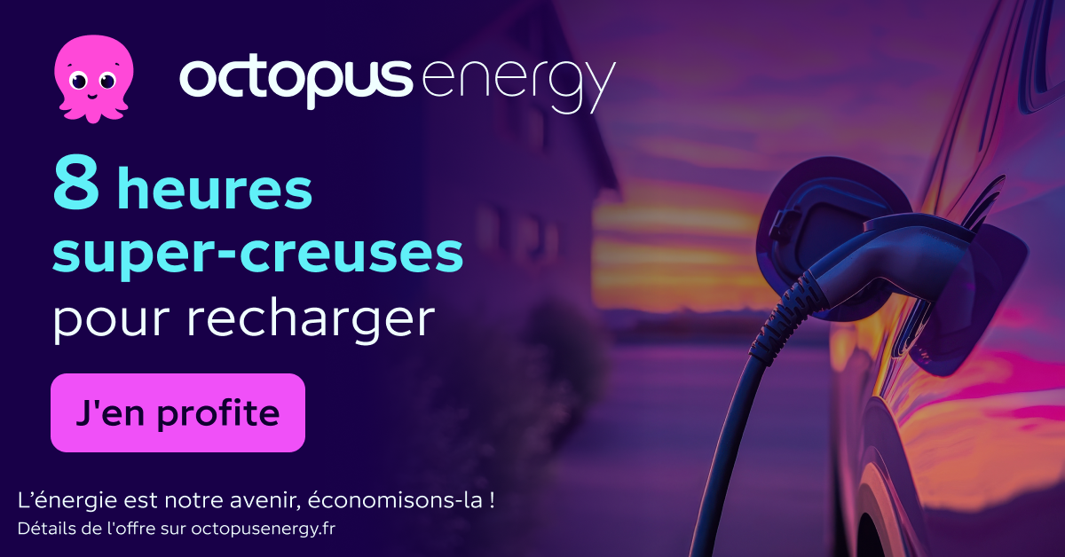 Octopus Energy Facebook ad