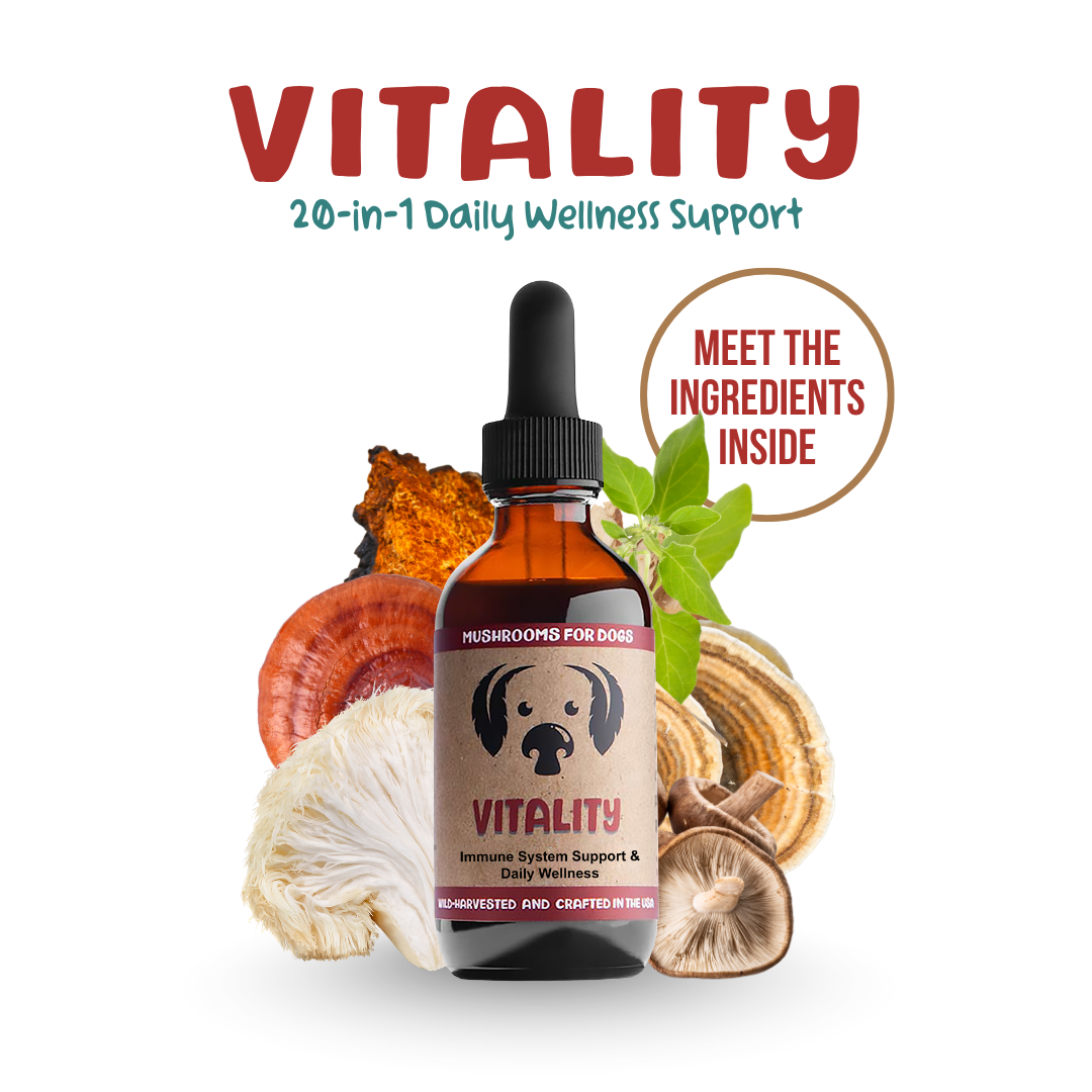 Dog Health Facebook ad