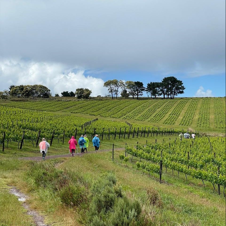Hermanus Camino Facebook ad: Walk The Way with us on the Hermanus…