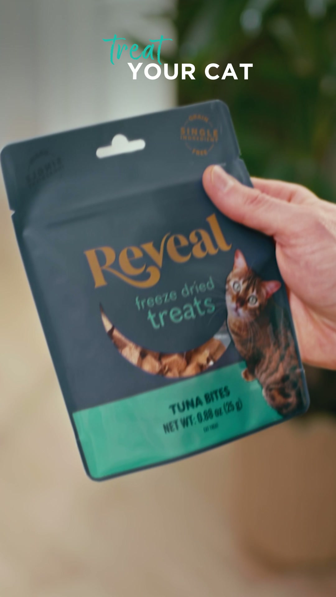 Reveal Pet food Facebook ad from Jul 23, 2026