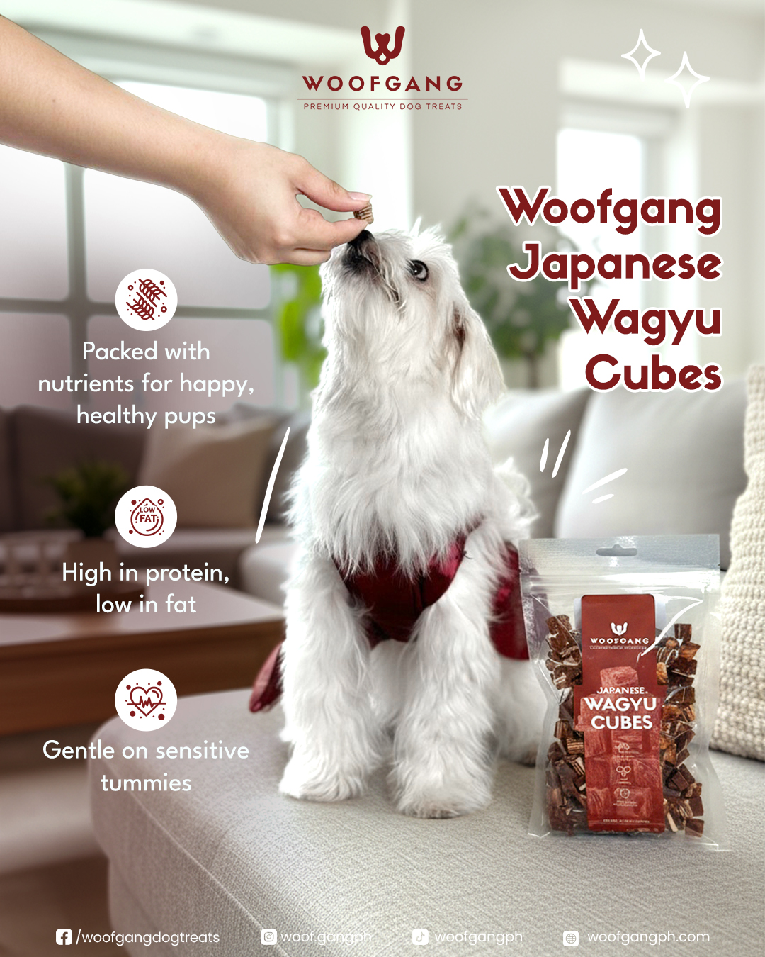 Woofgang Facebook ad
