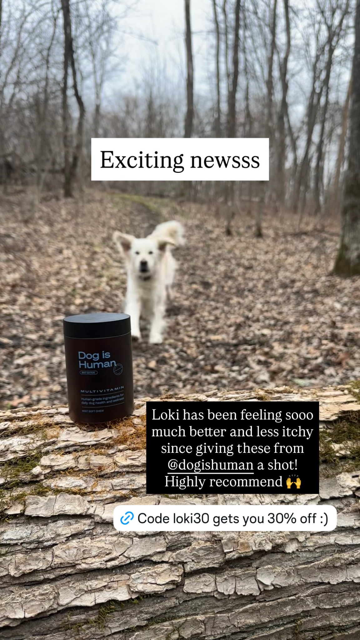 Dog is Human Facebook ad
