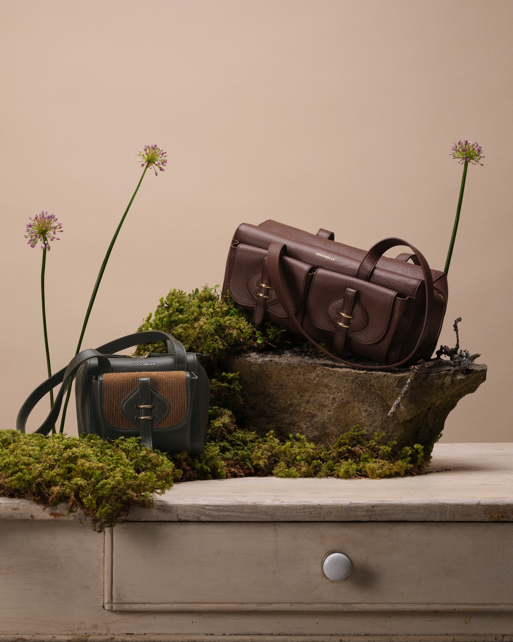 Coccinelle Thailand Facebook ad: Italian leather handbags and accessories brand