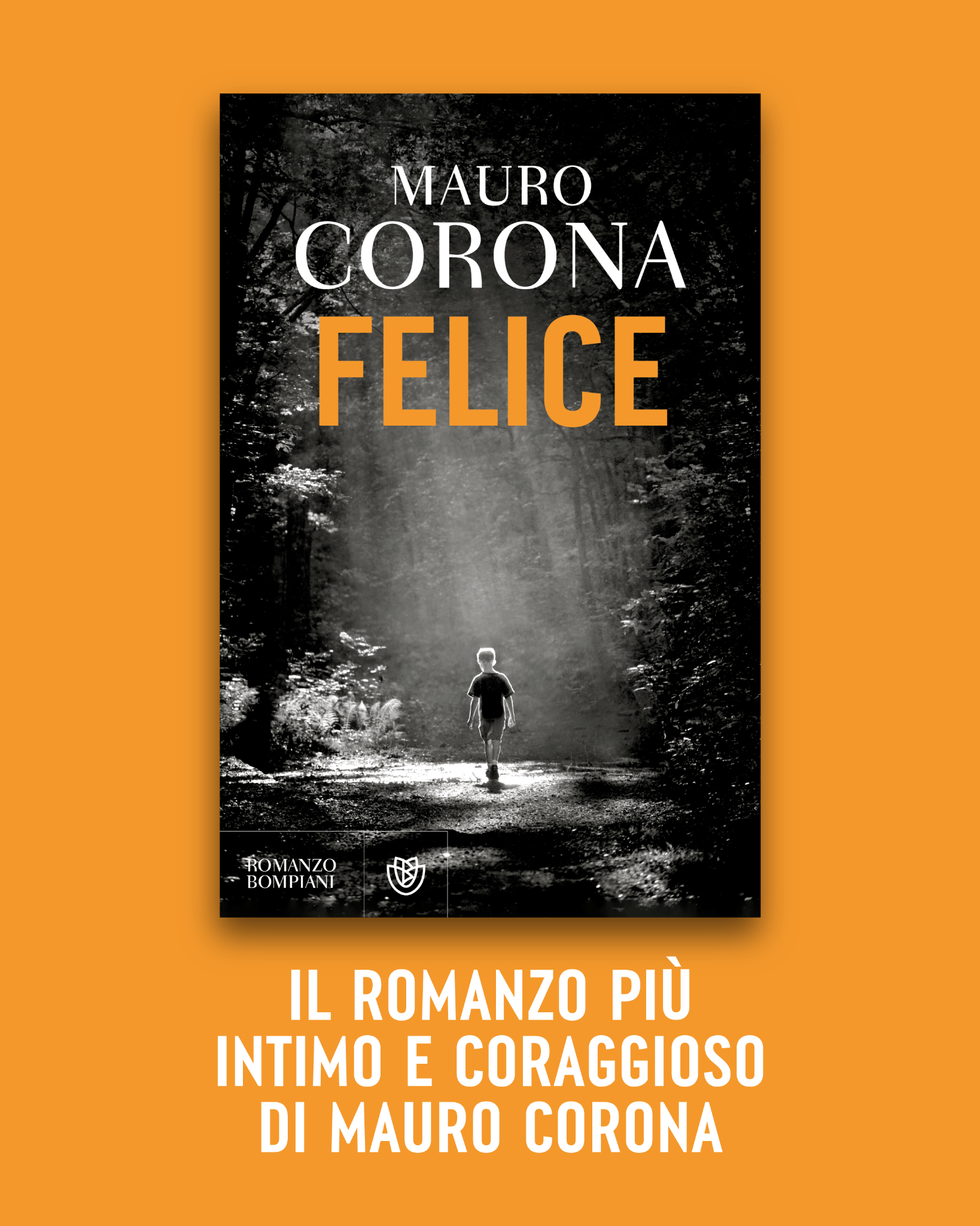 Bompiani Facebook ad
