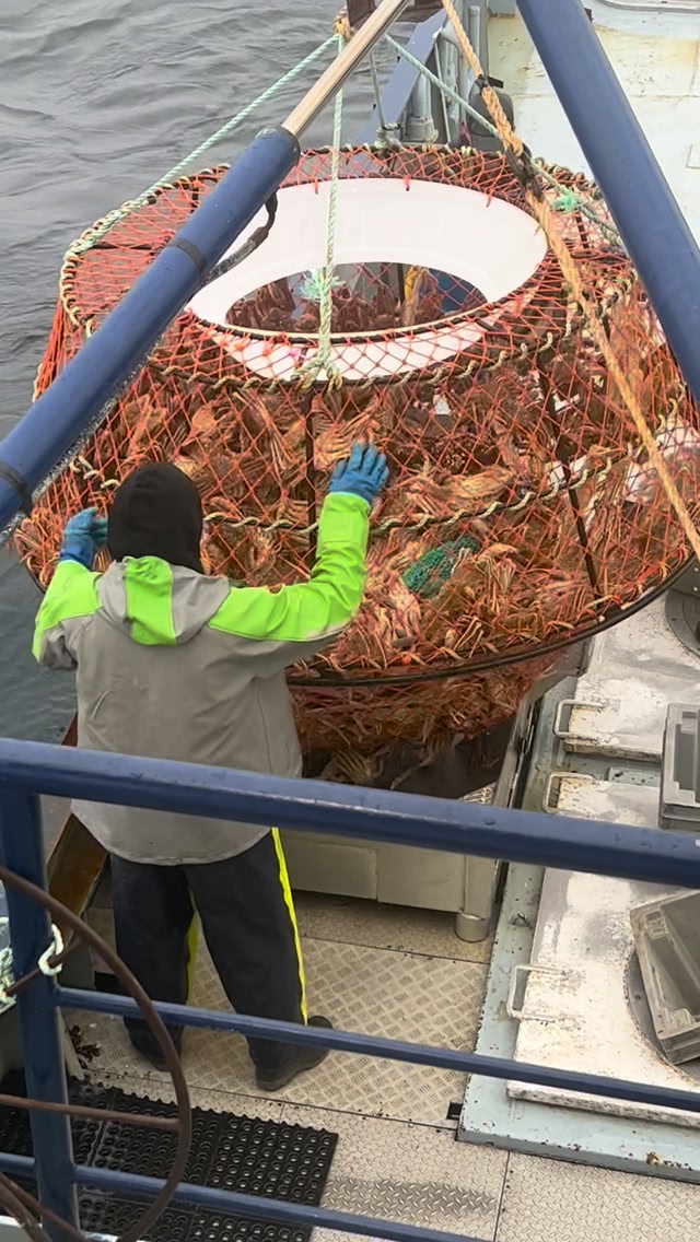 PrimeFish Seafood Co. Facebook ad: Snow Crab Meat Like You've Never Seen