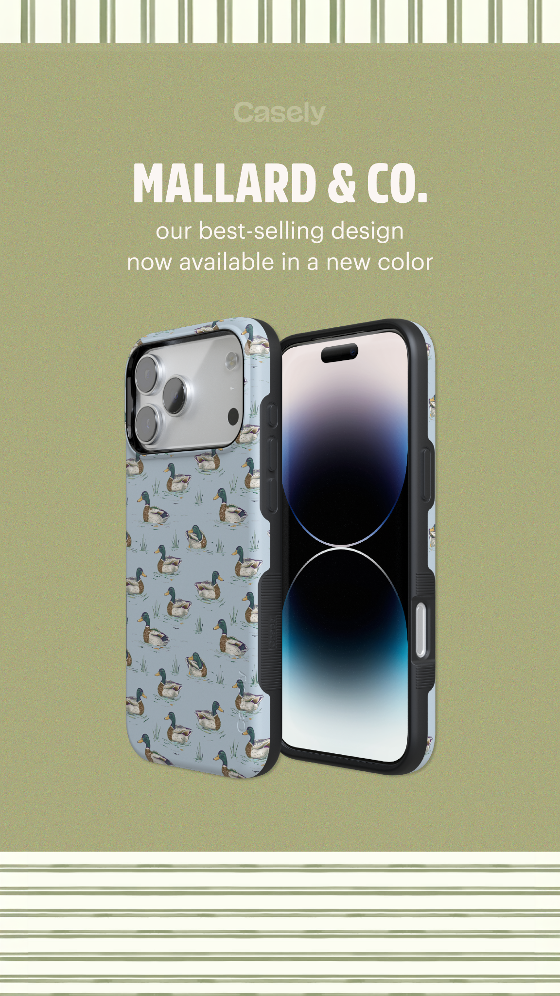 Casely Facebook ad