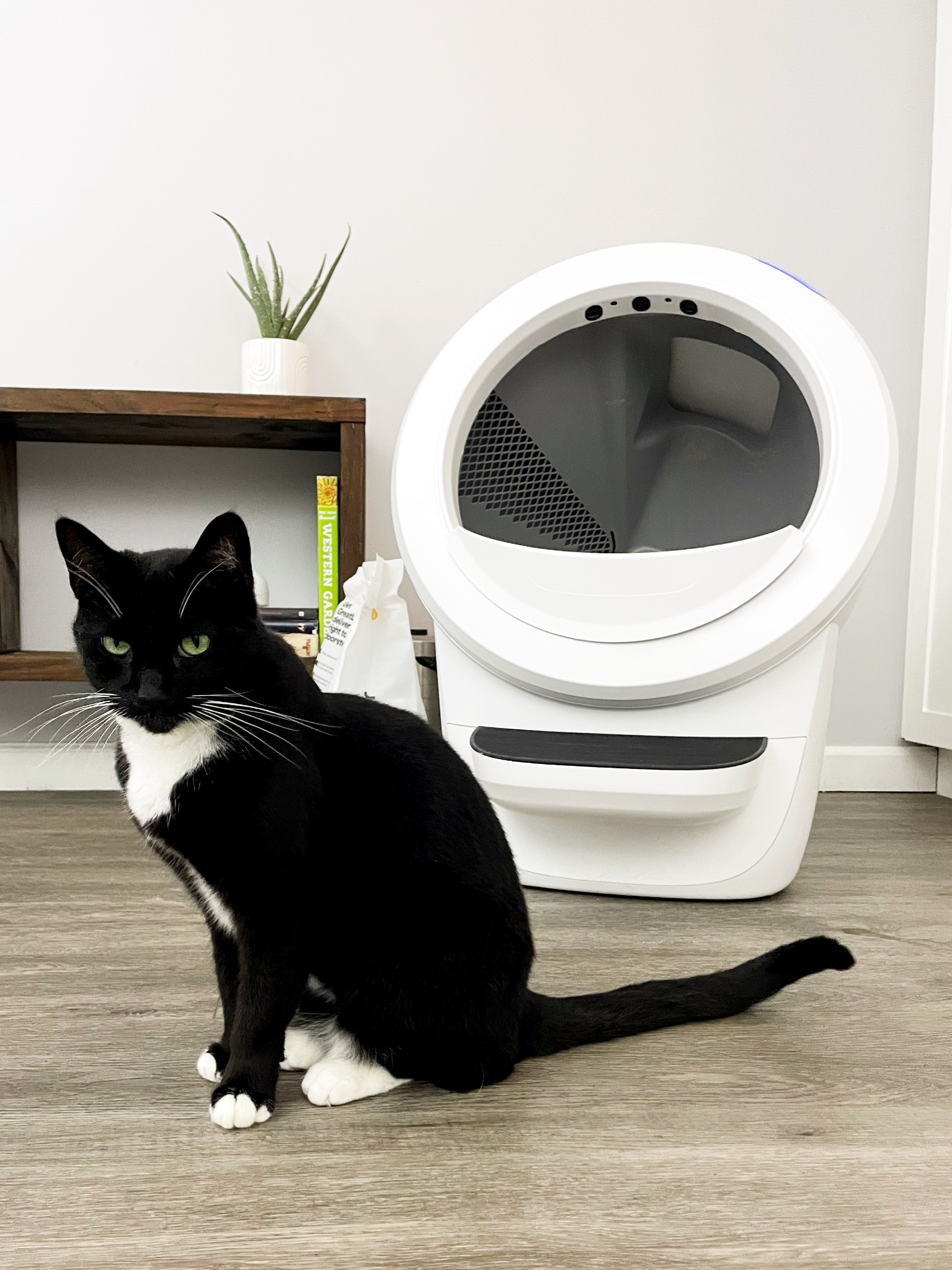Litter-Robot by Whisker Facebook ad