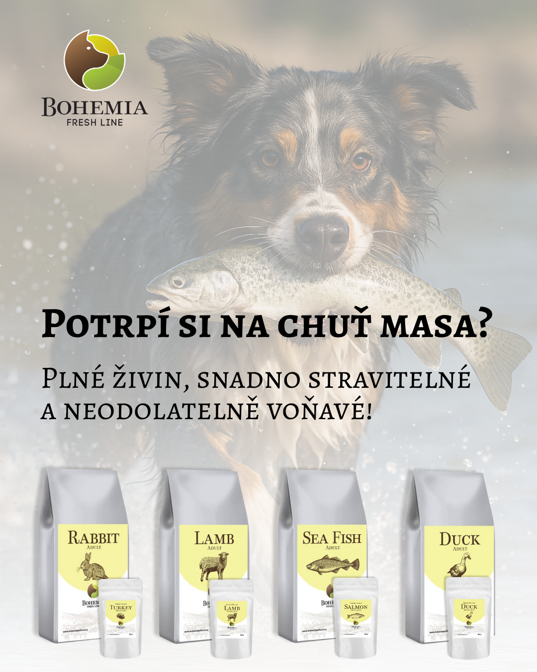 Bohemia Pet Food Facebook ad: Bohemia FRESH LINE - granule z čerstvého masa bez…