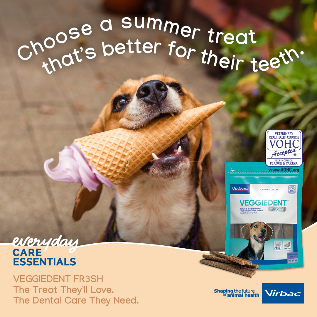 Virbac Pets Australia Facebook ad: Did you know 80% of dogs show signs…