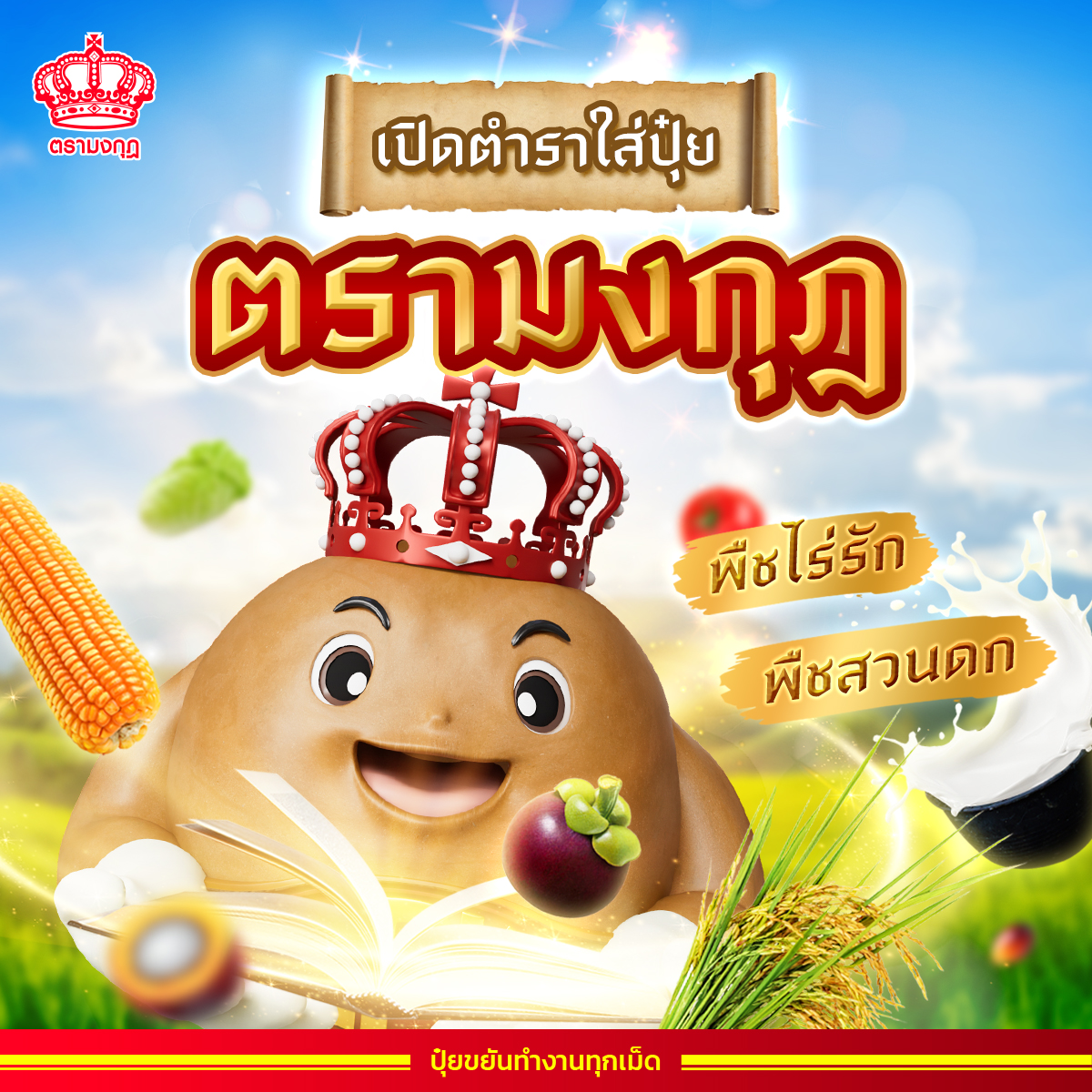 ปุ๋ยตรามงกุฎ Facebook ad