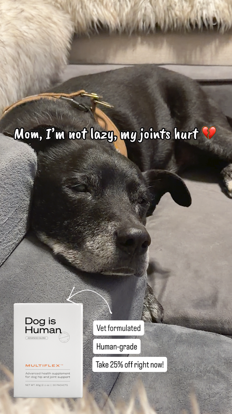 Dog is Human Facebook ad