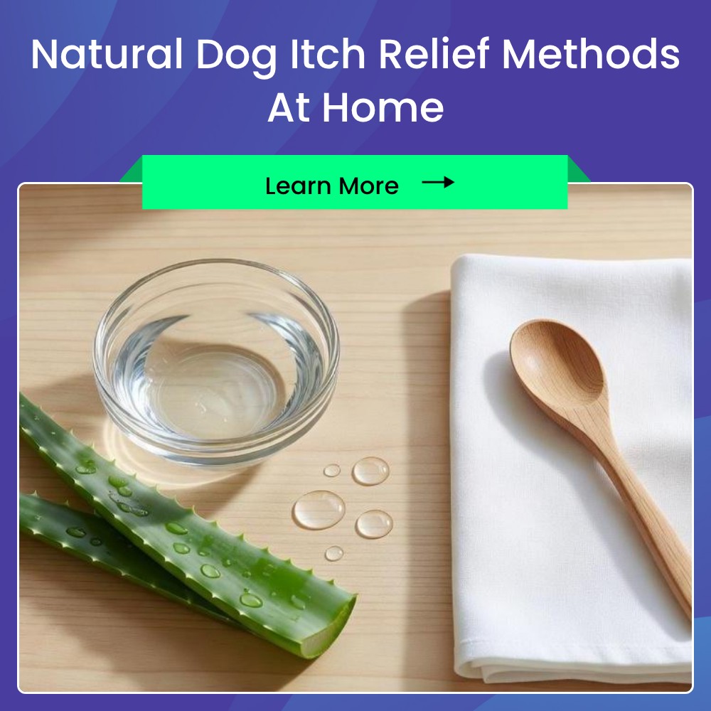 SearchArena Circuit Facebook ad: Uncover Gentle Ways To Ease Dog Itch.