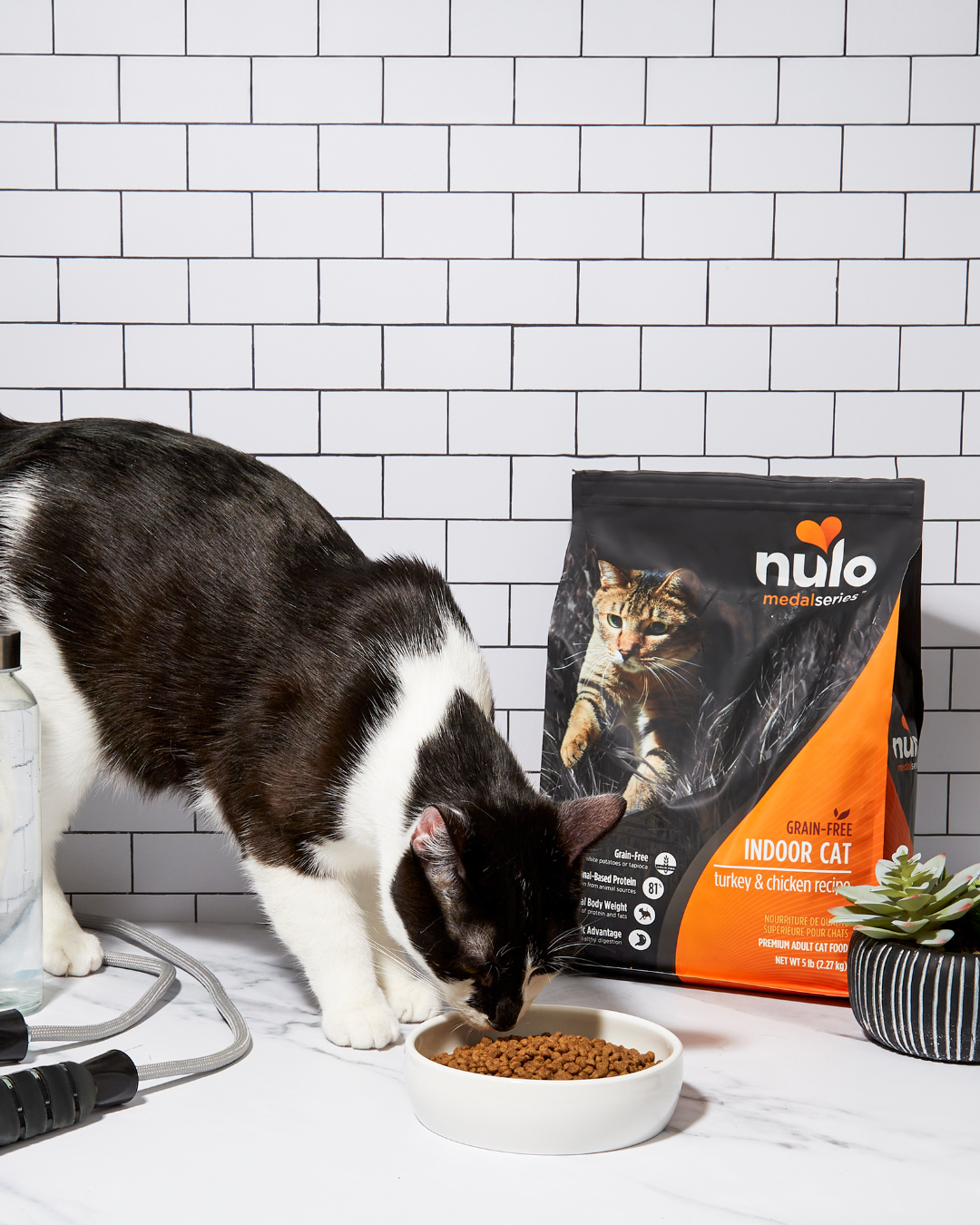 Petco Facebook ad
