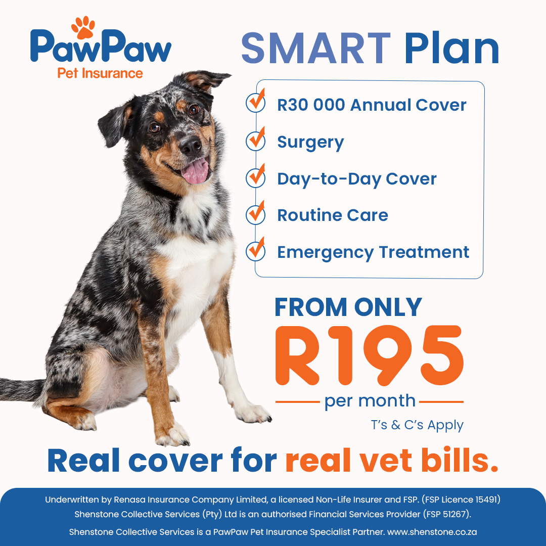 PawPaw Pet Insurance Facebook ad from Mar 2, 2026