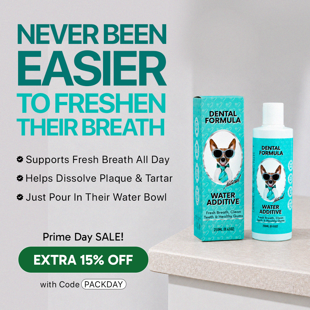 Healthy Dog 24/7 Facebook ad