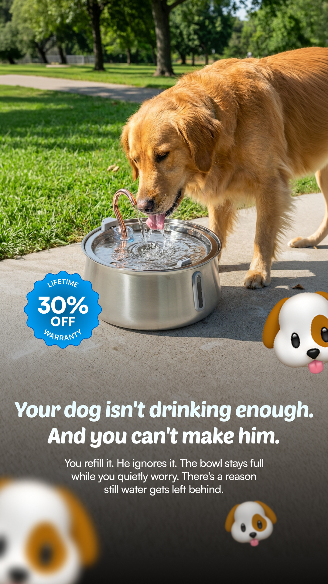Rhykin Pet Co Facebook ad