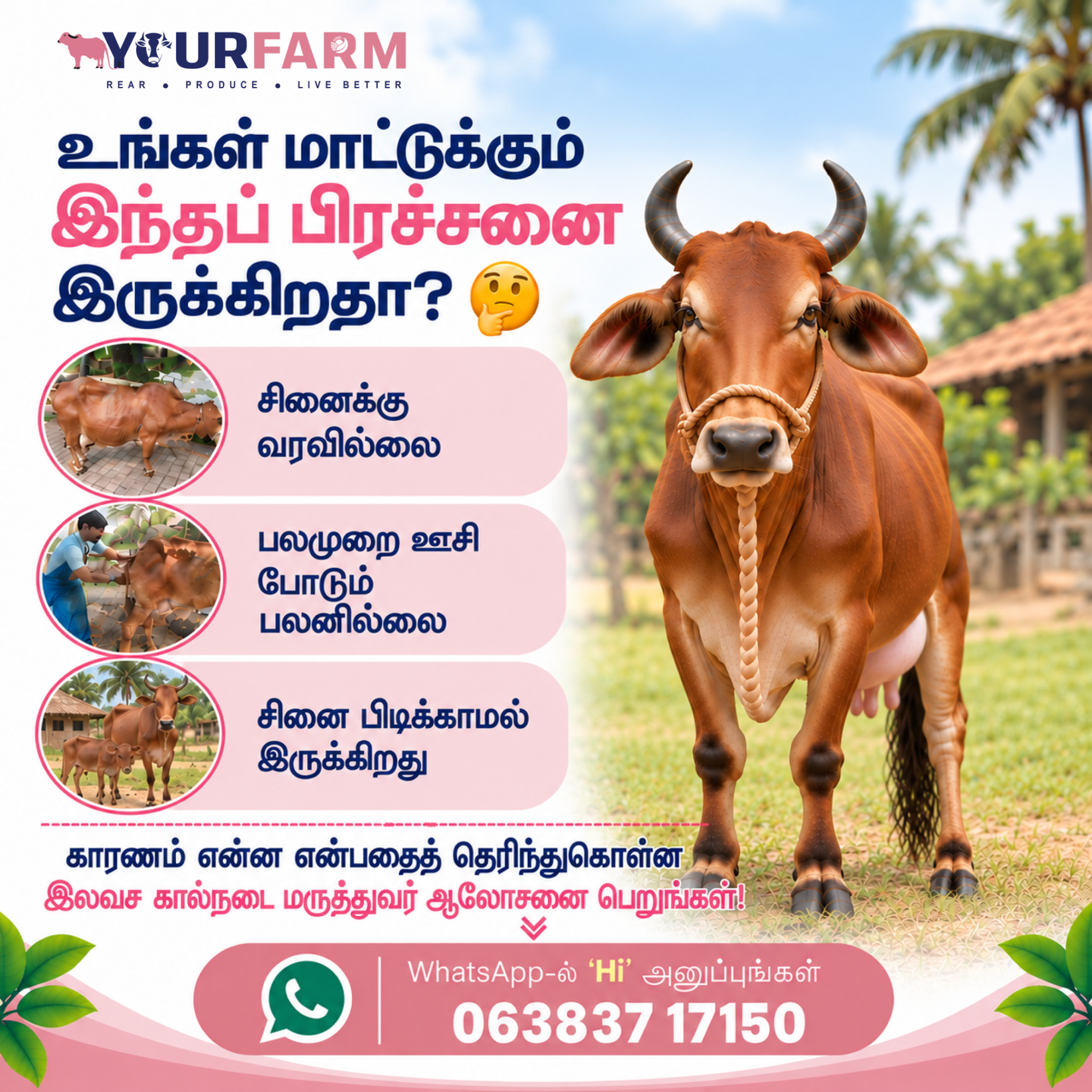 YourFarm AgriTech Facebook ad: மாடு சினைக்கு வரவில்லையா?