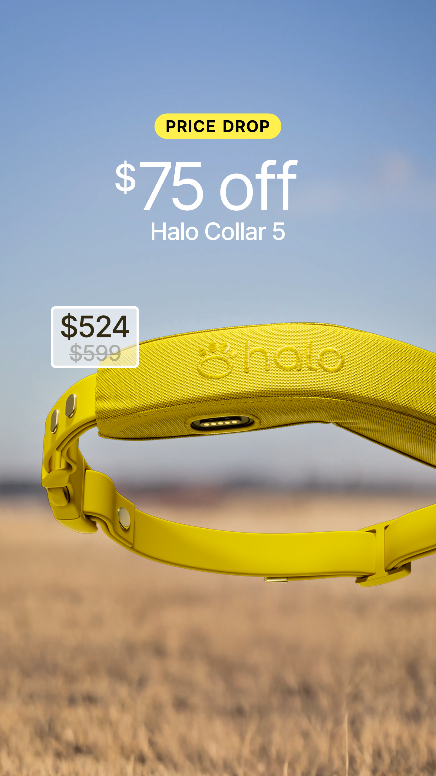 Halo Collar Facebook ad