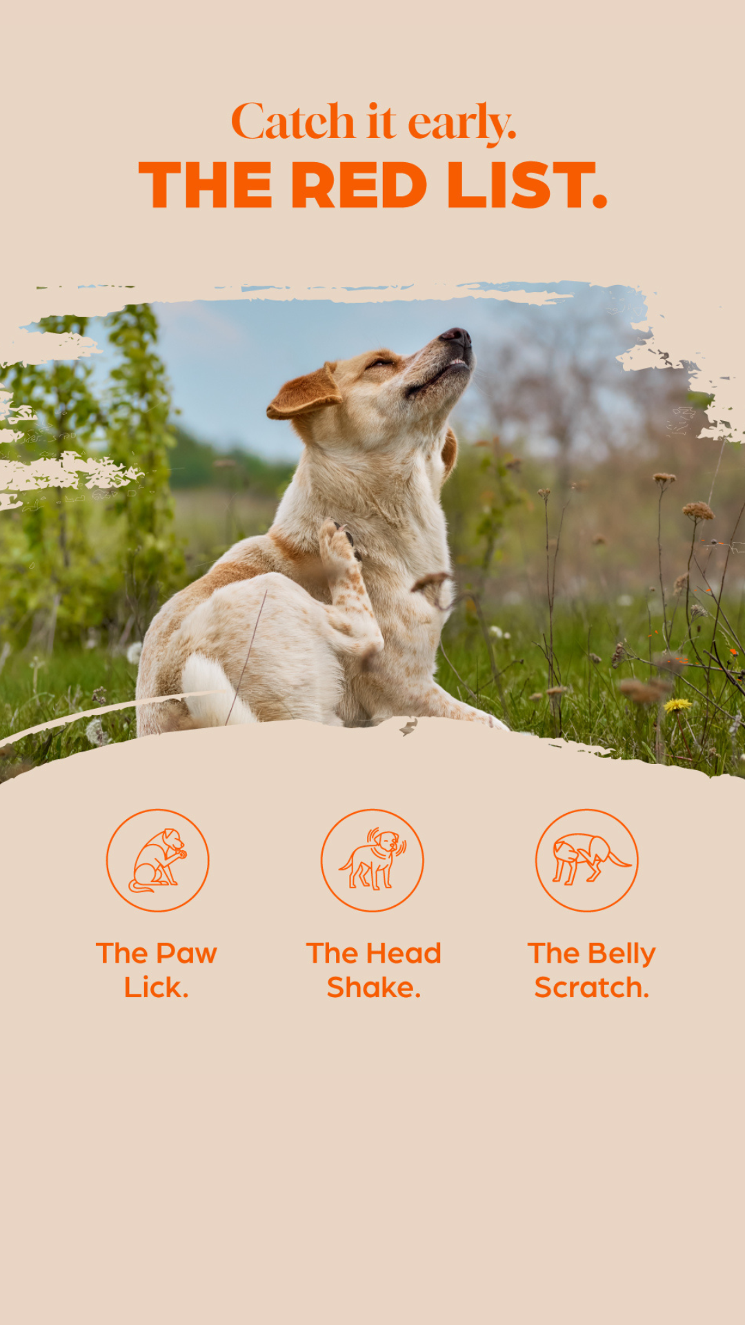 Itchy Pet Facebook ad from Jun 9, 2026