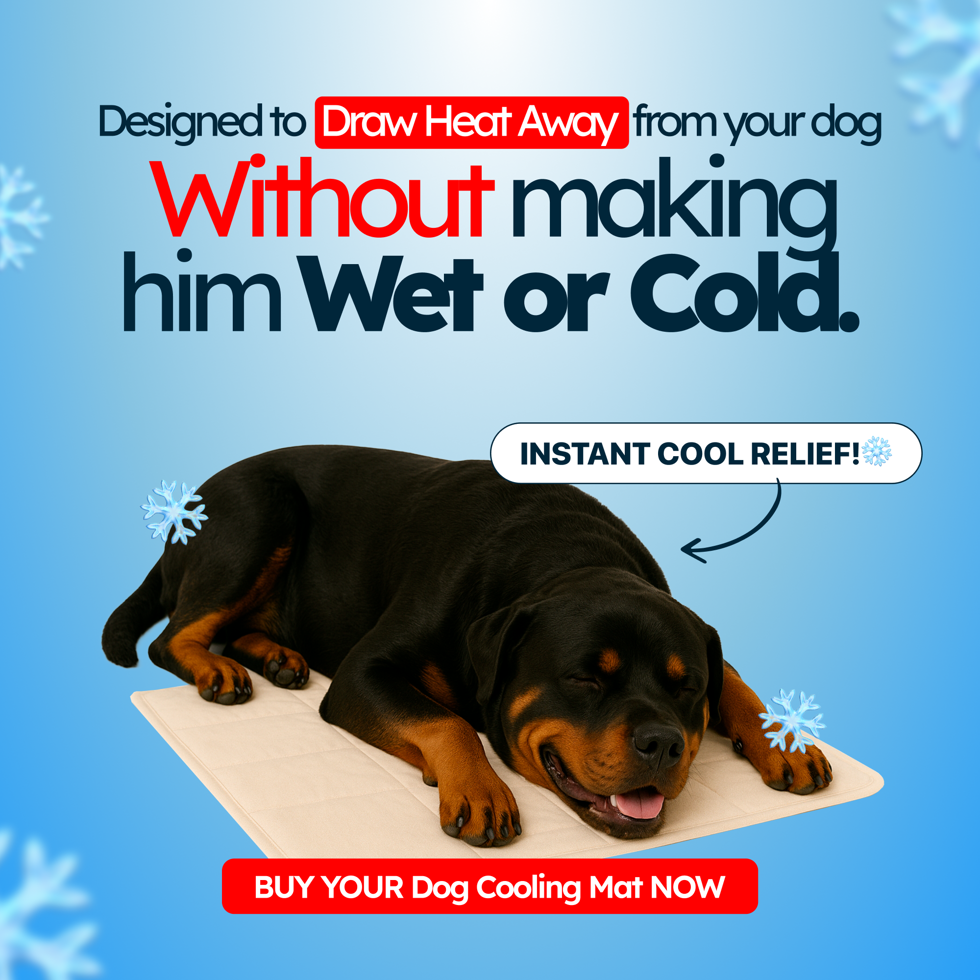 The Dog Hub Co. Facebook ad: Your Dog’s New Safe Space