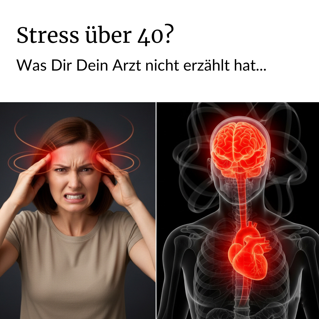 Magazin-Gesundheit Facebook ad