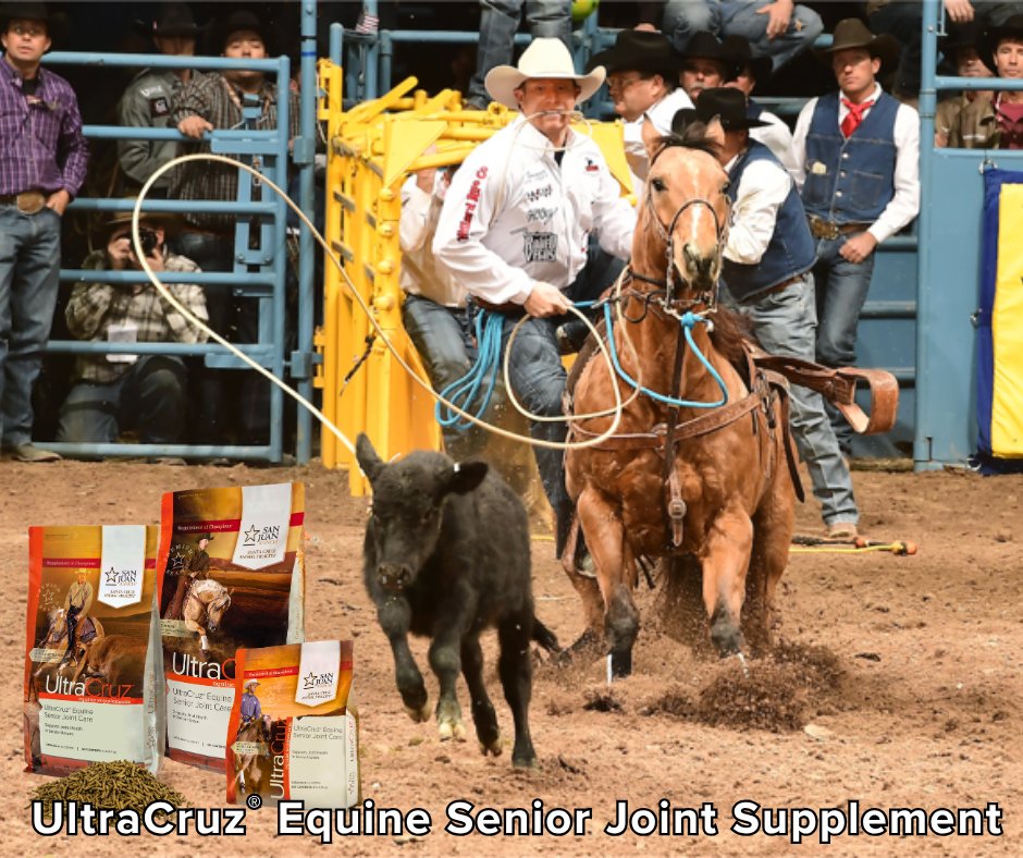 UltraCruz Facebook ad: Senior Horse Joint Supplement, UltraCruz | Santa Cruz…