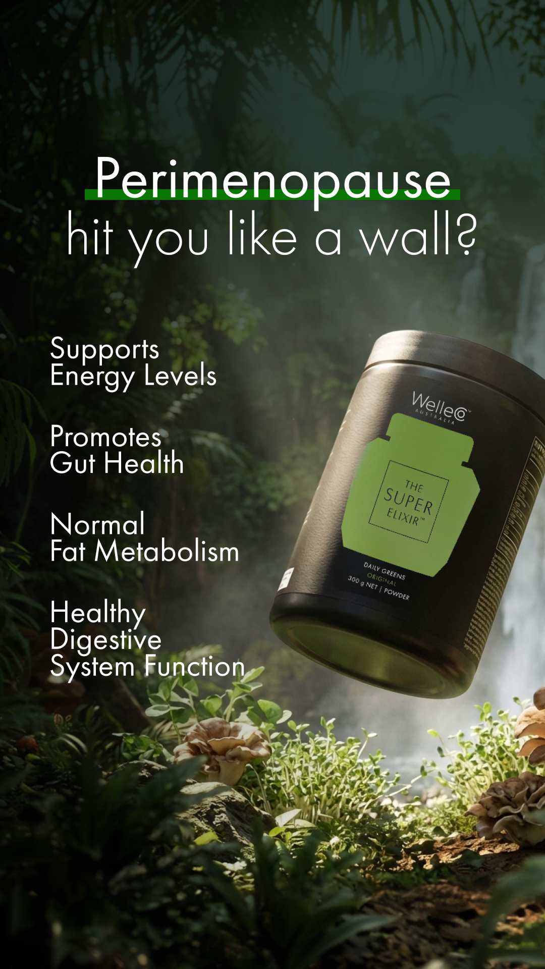 WelleCo Facebook ad