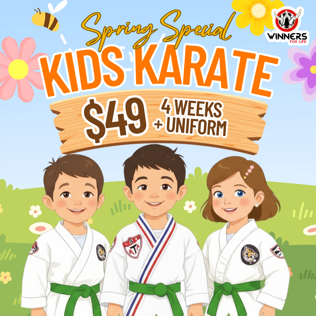 Winners for Life Martial Arts Harrisburg  Facebook ad