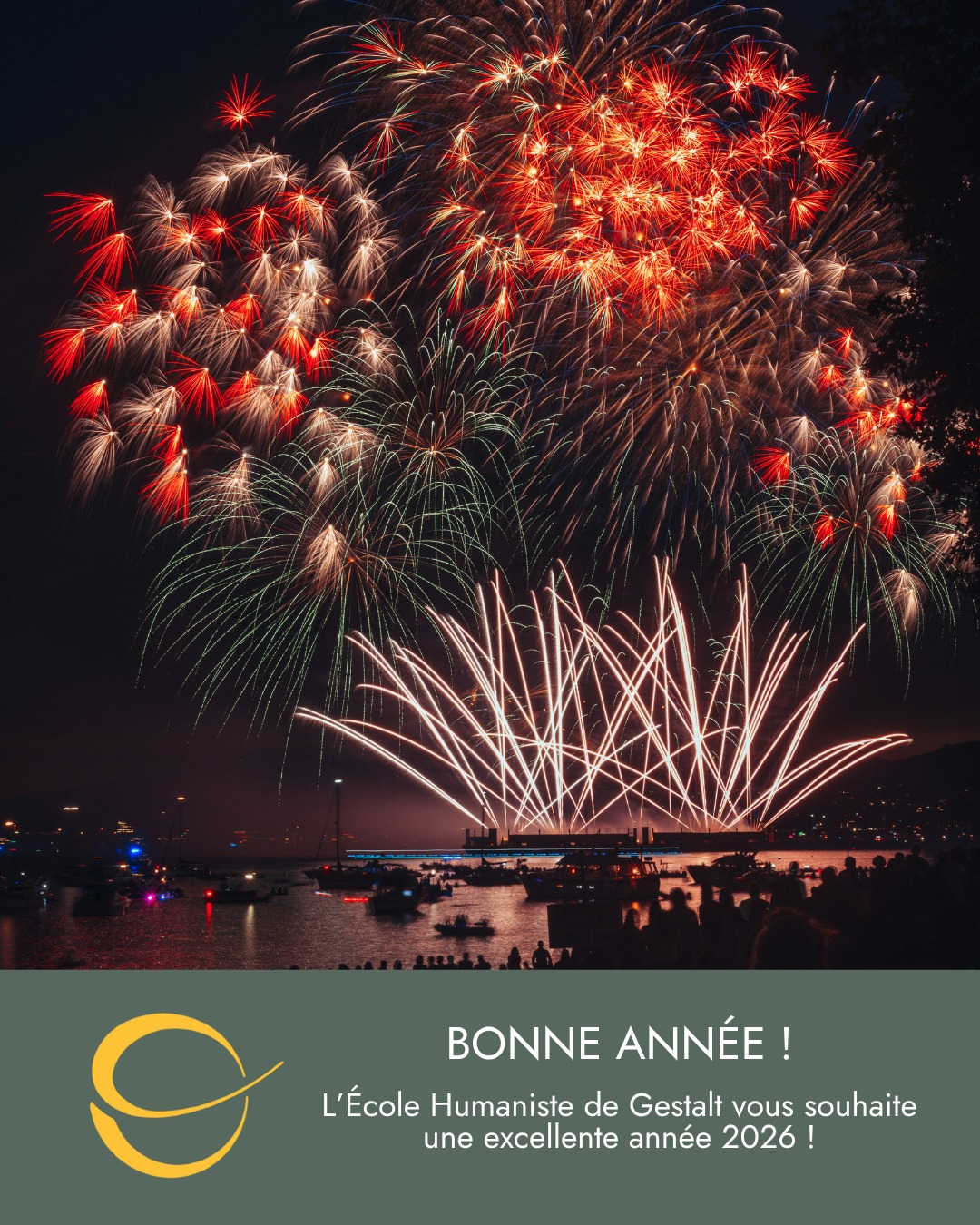 Gestalt Facebook ad: BONNE ANNÉE!