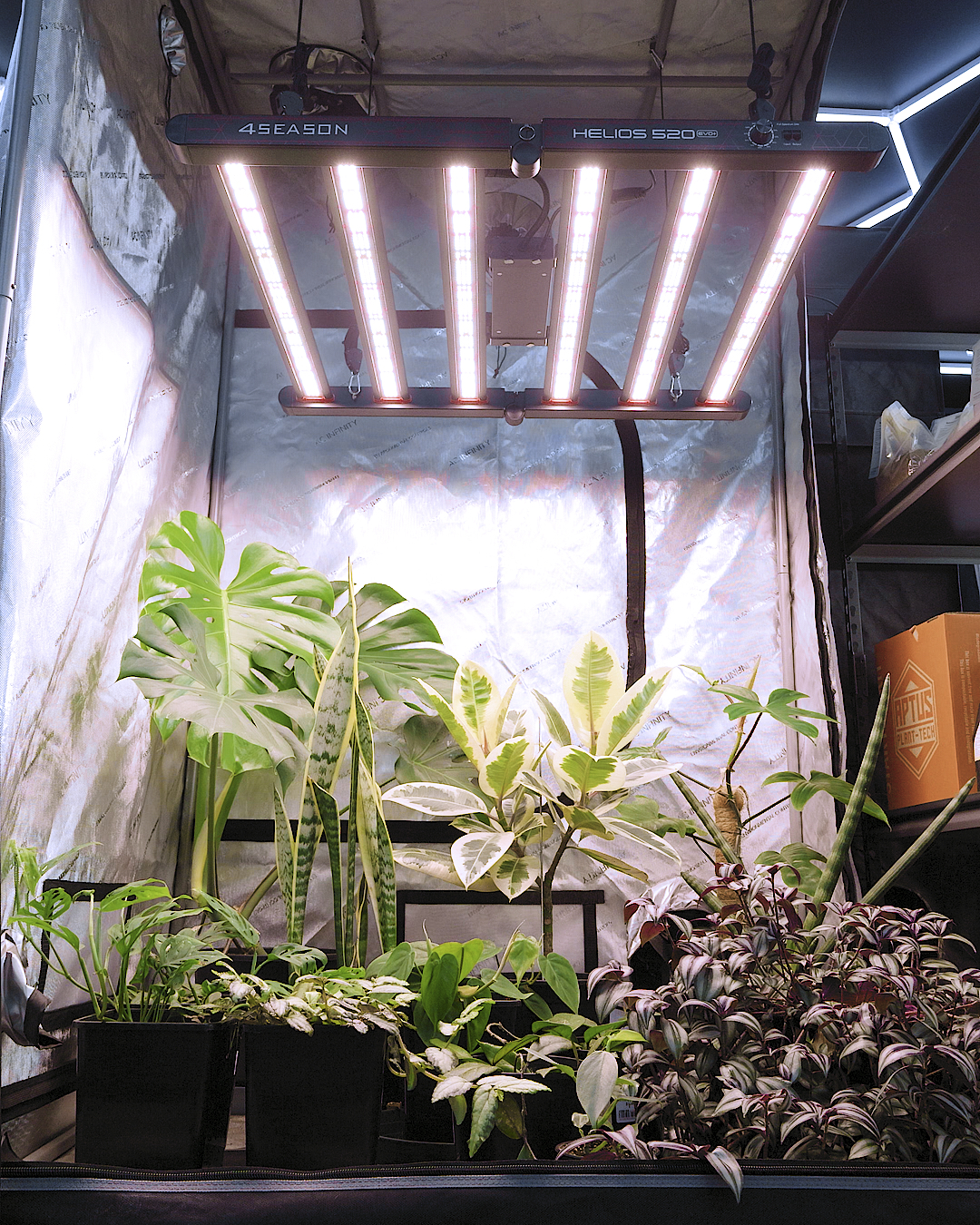 Herbal House Facebook ad: Ready to upgrade your LED grow lights?