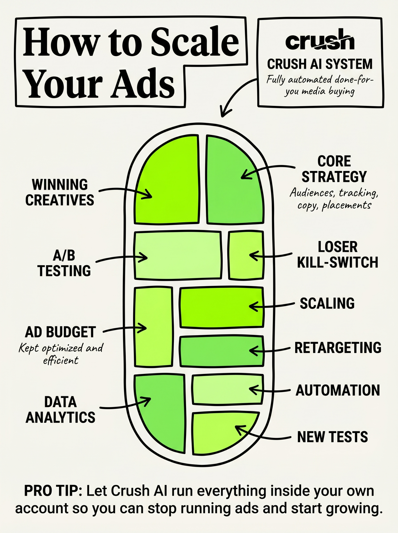 trycrush.ai Facebook ad