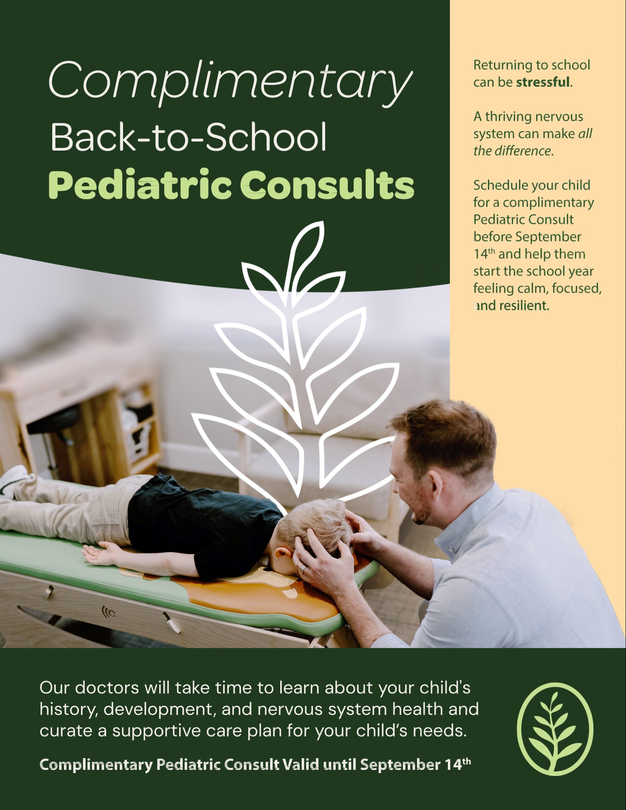Kauri Chiropractic Facebook ad