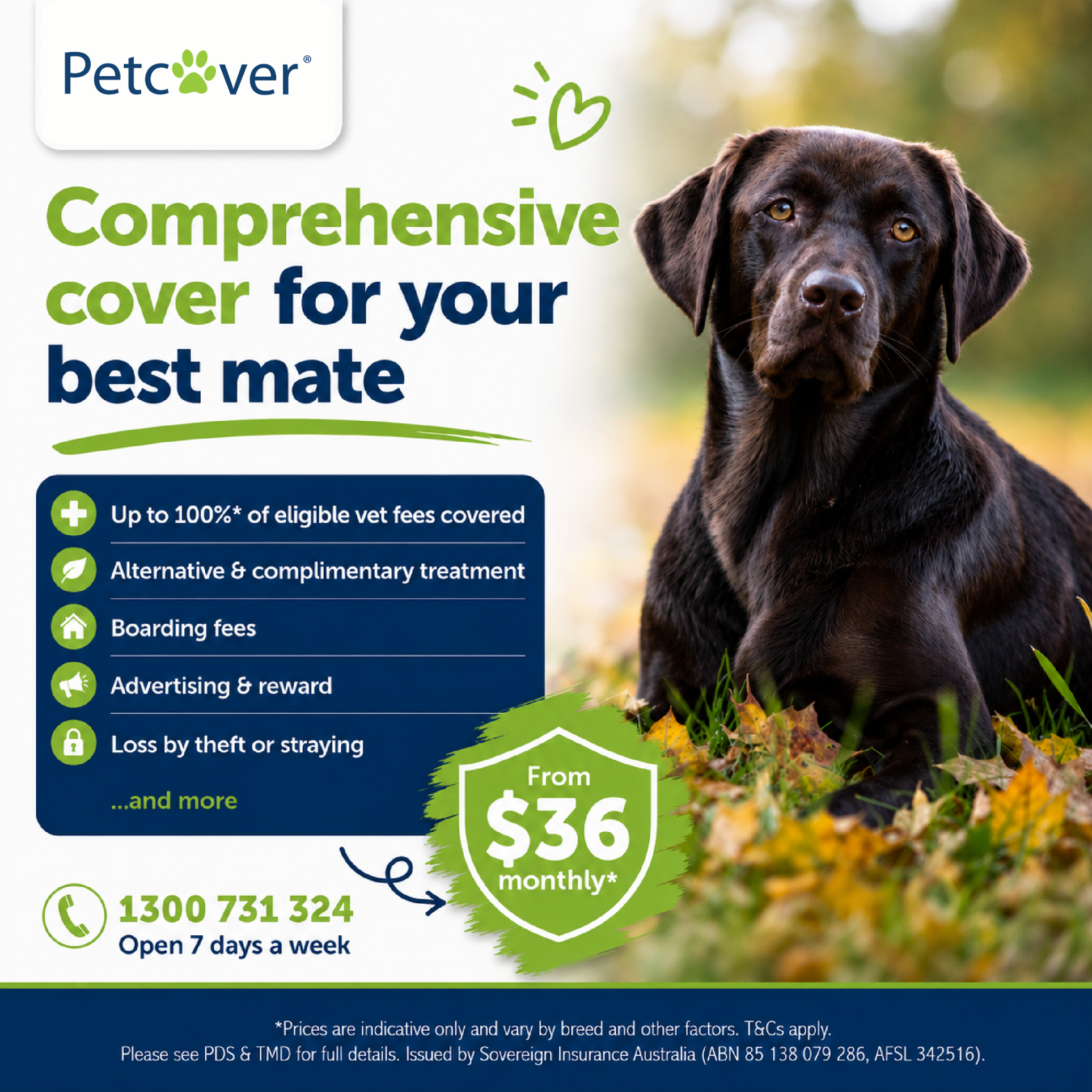 Petcover Australia Facebook ad: Claim up to 100%* of eligible vet bills
