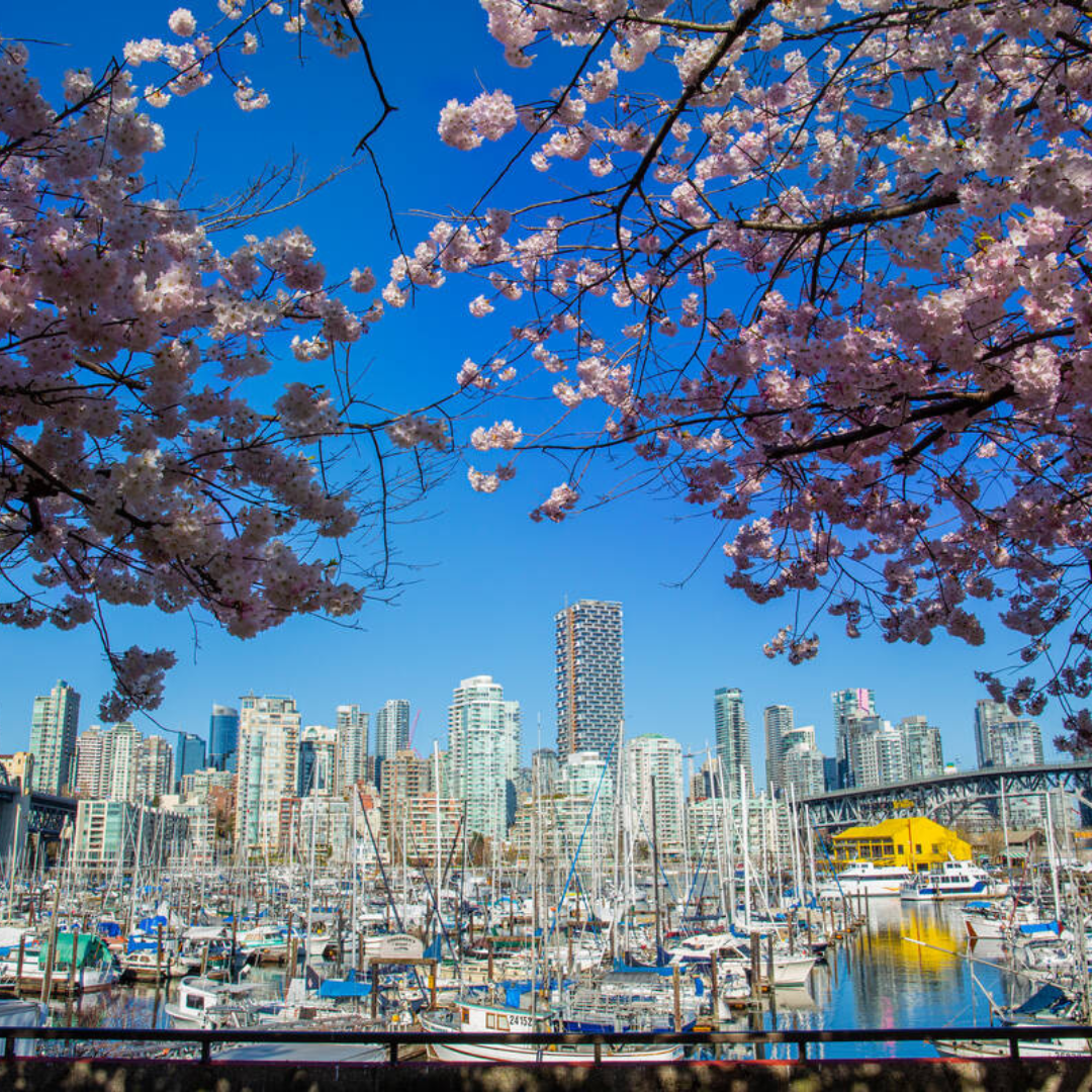 The Burrard Hotel - Vancouver BC Facebook ad