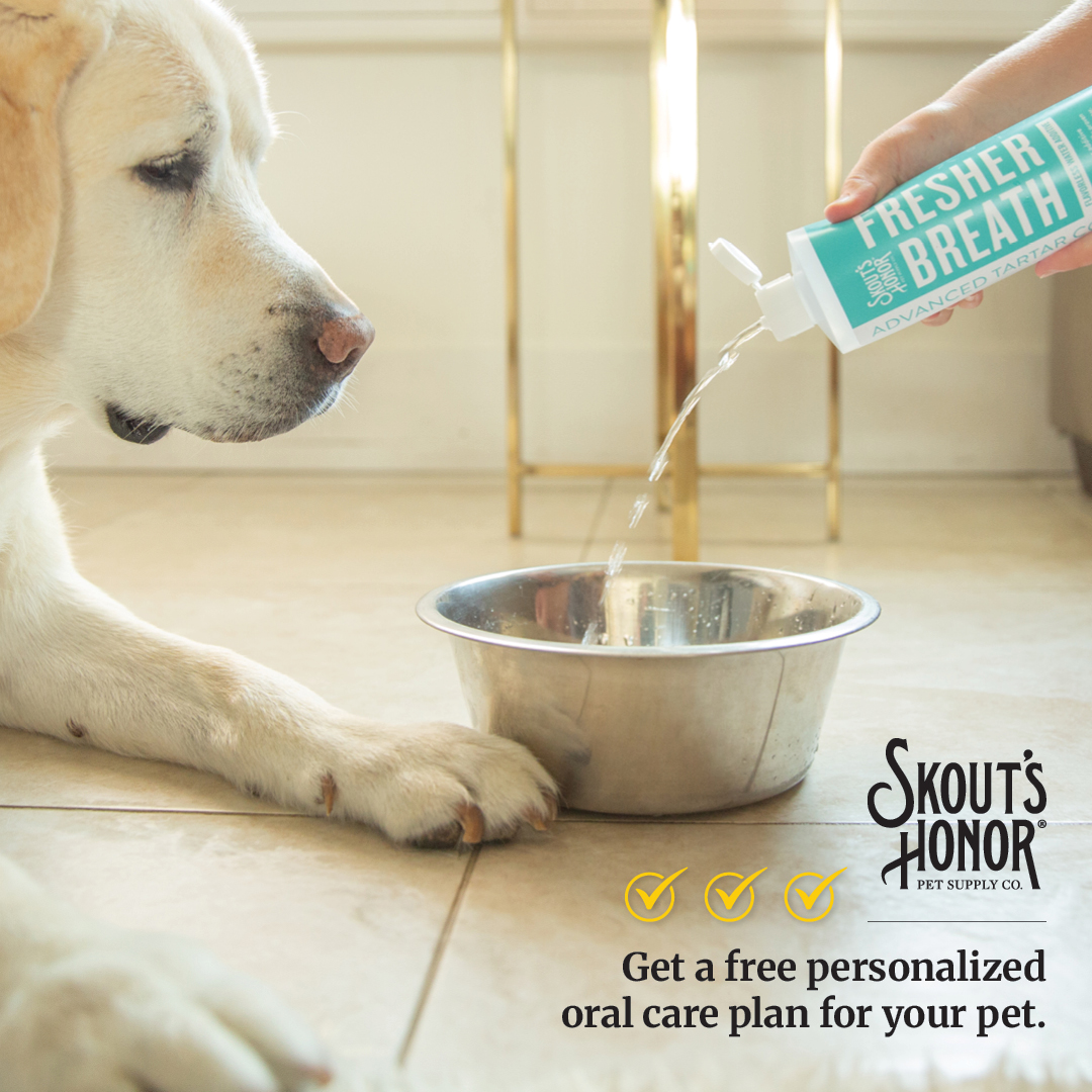 Skout's Honor Facebook ad
