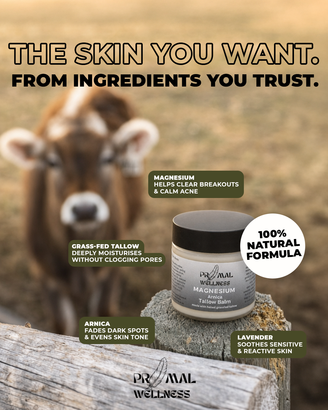 Primal Wellness Facebook ad: Clear skin. Four ingredients.