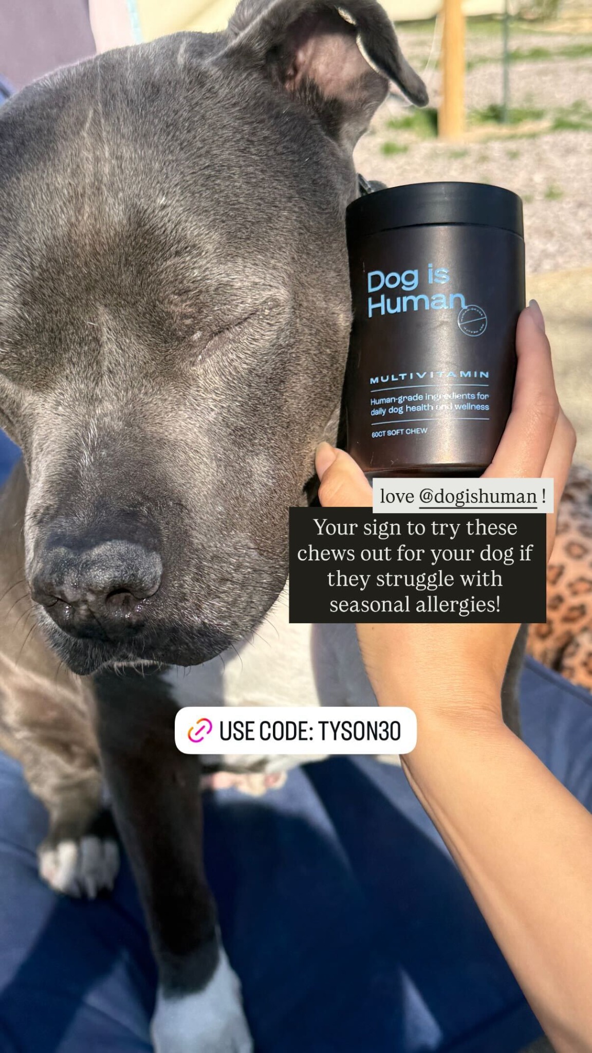 Dog is Human Facebook ad