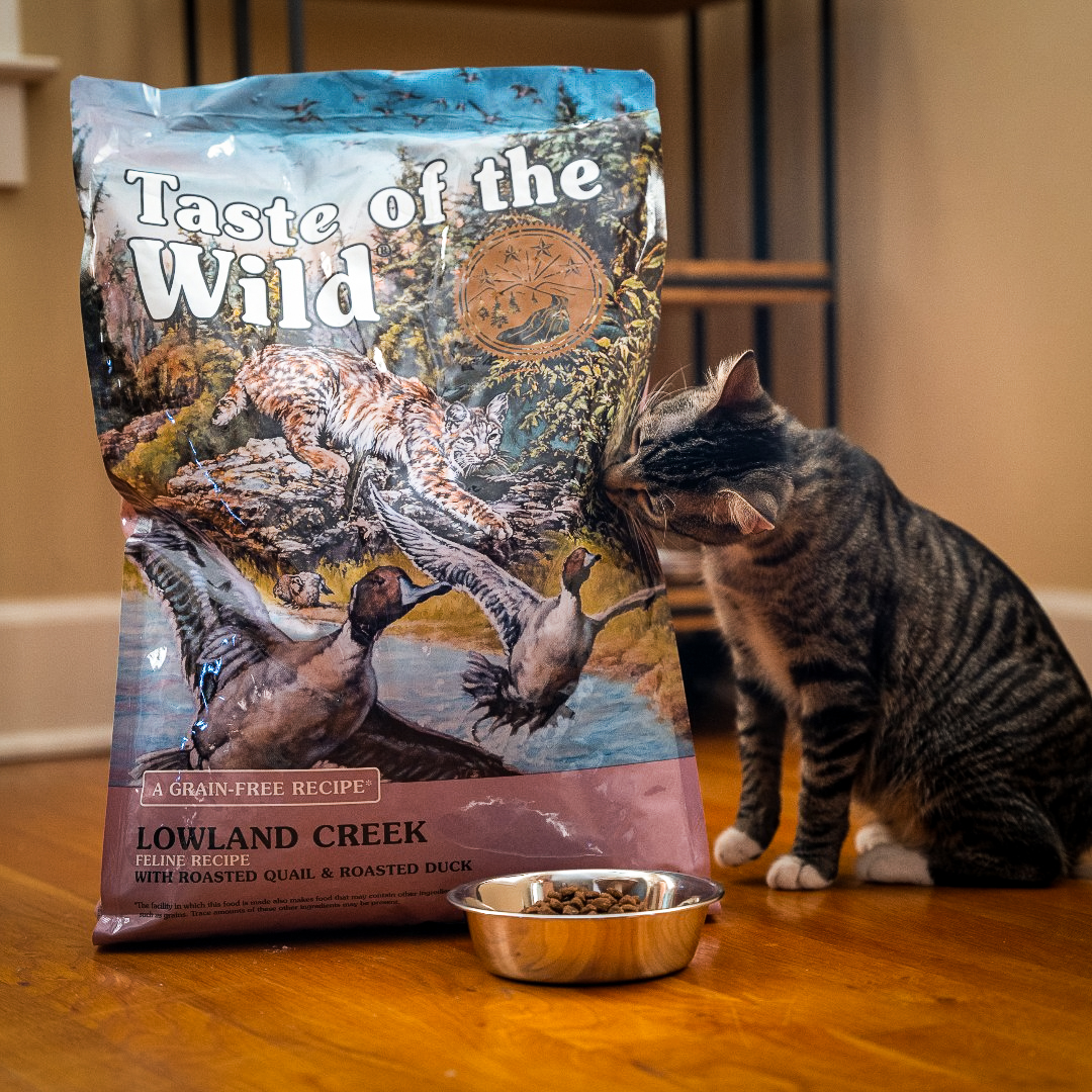 Taste of the Wild Pet Food Facebook ad: Lowland Creek Feline Recipe with Roasted Quail & Roasted…