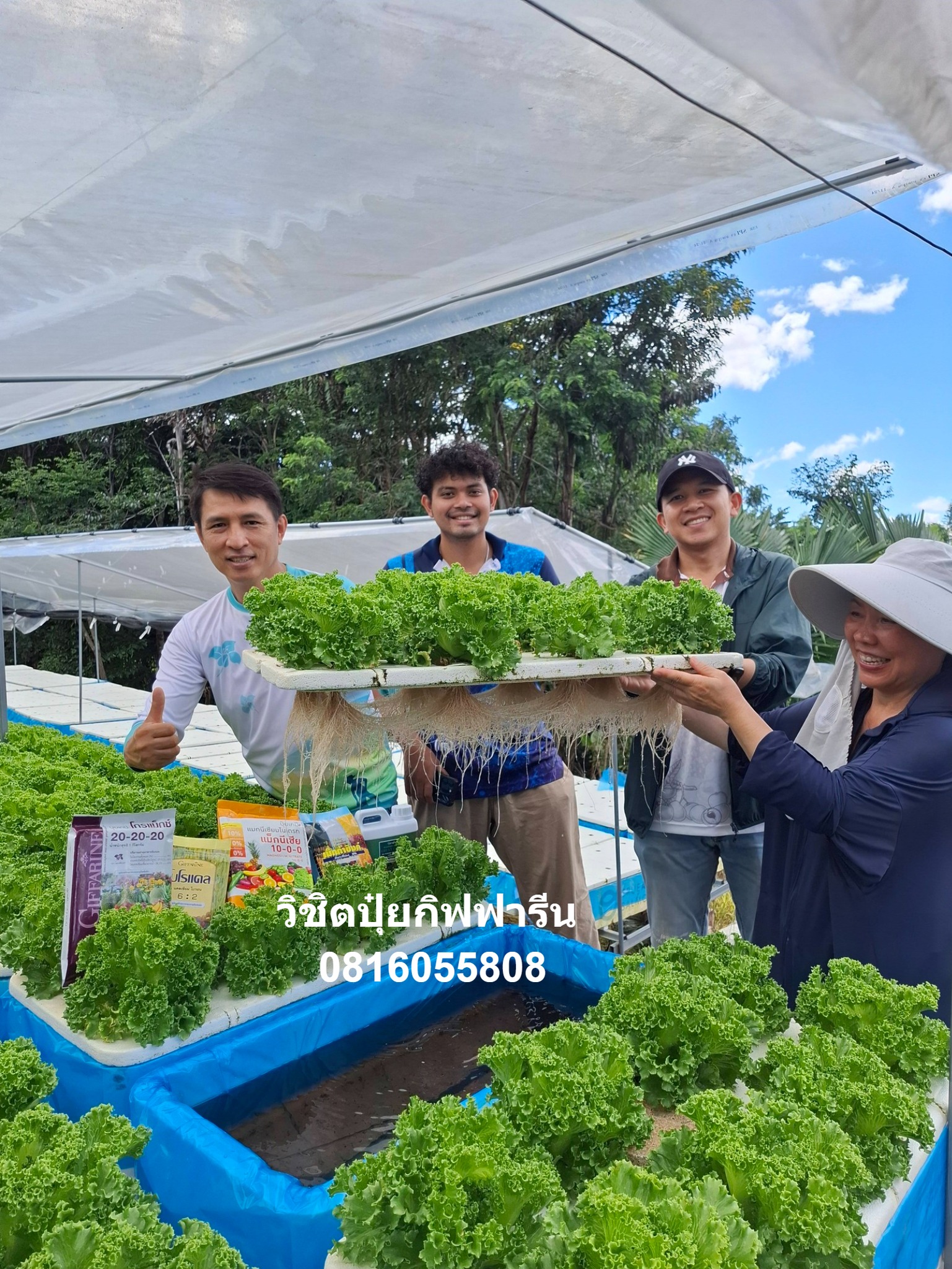 ปุ๋ยโกรแมกซ์คุณภาพสูง กิฟฟารีน คุณวิชิต0816055808 เพจหลัก รับตัวแทนขาย Facebook ad