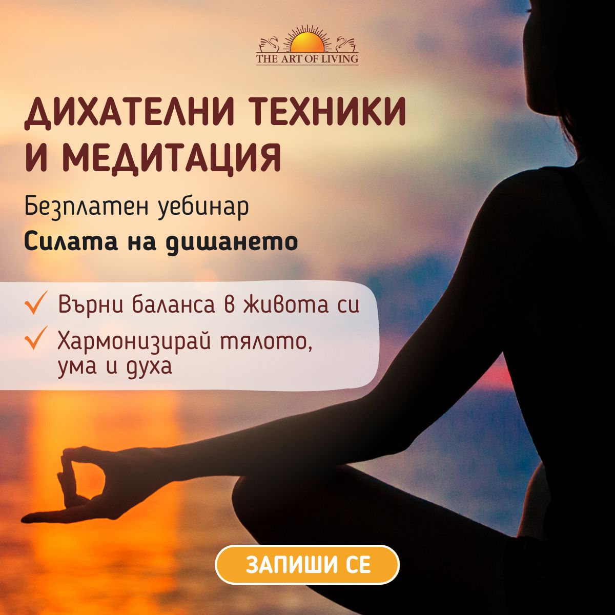 The Art of Living Facebook ad