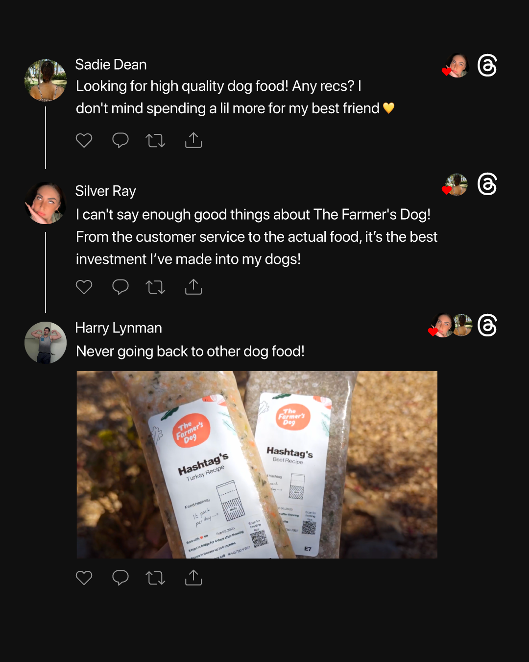 Ultimate Dog Parent Guide Facebook ad