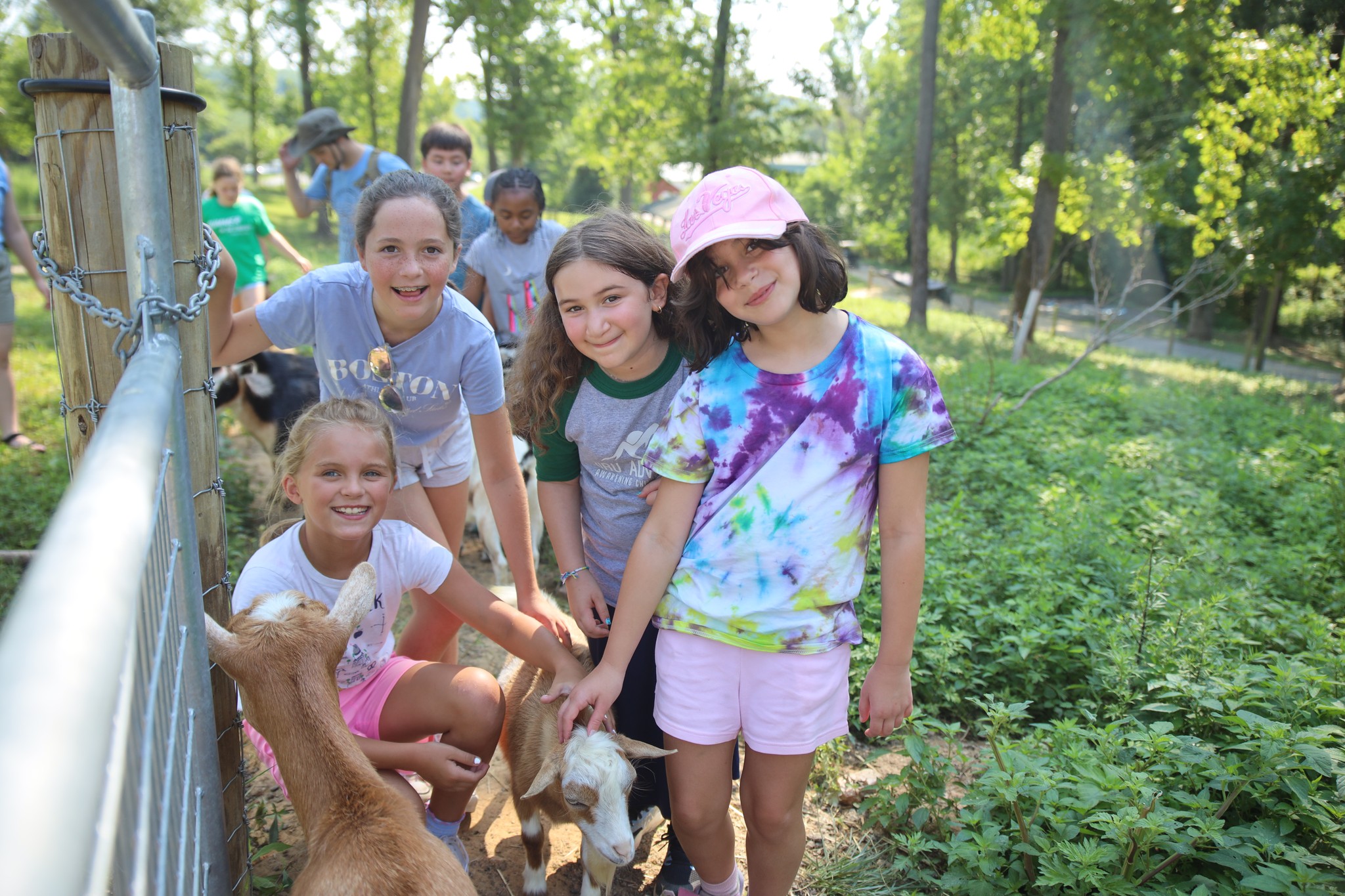 Mary's Land Farm Facebook ad: Ellicott City's Favorite Farm Camp - Sign Up…