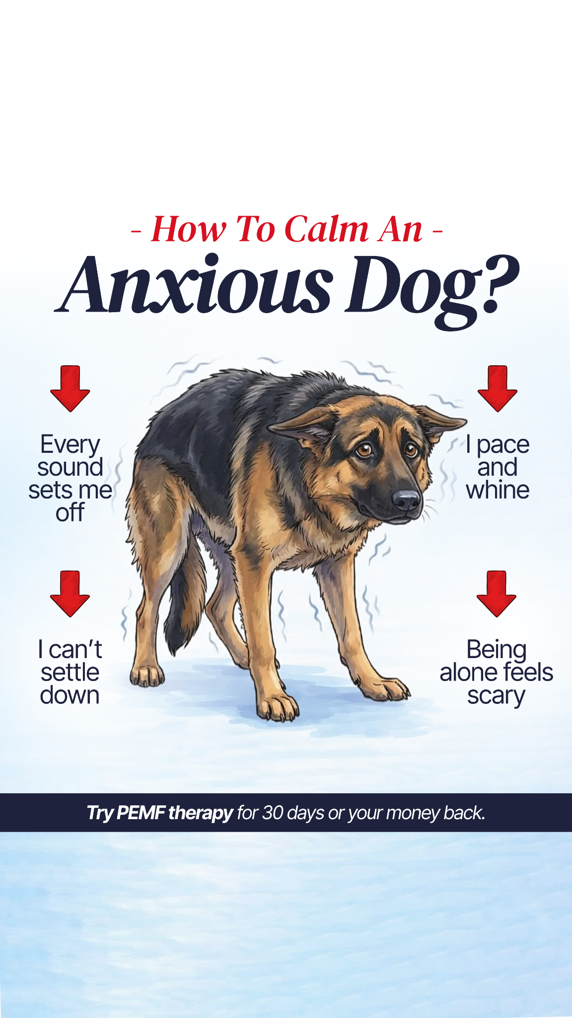 Helio Pet Facebook ad
